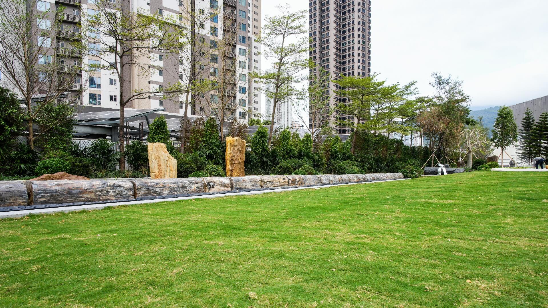 Nina Park Spring Guided Tour