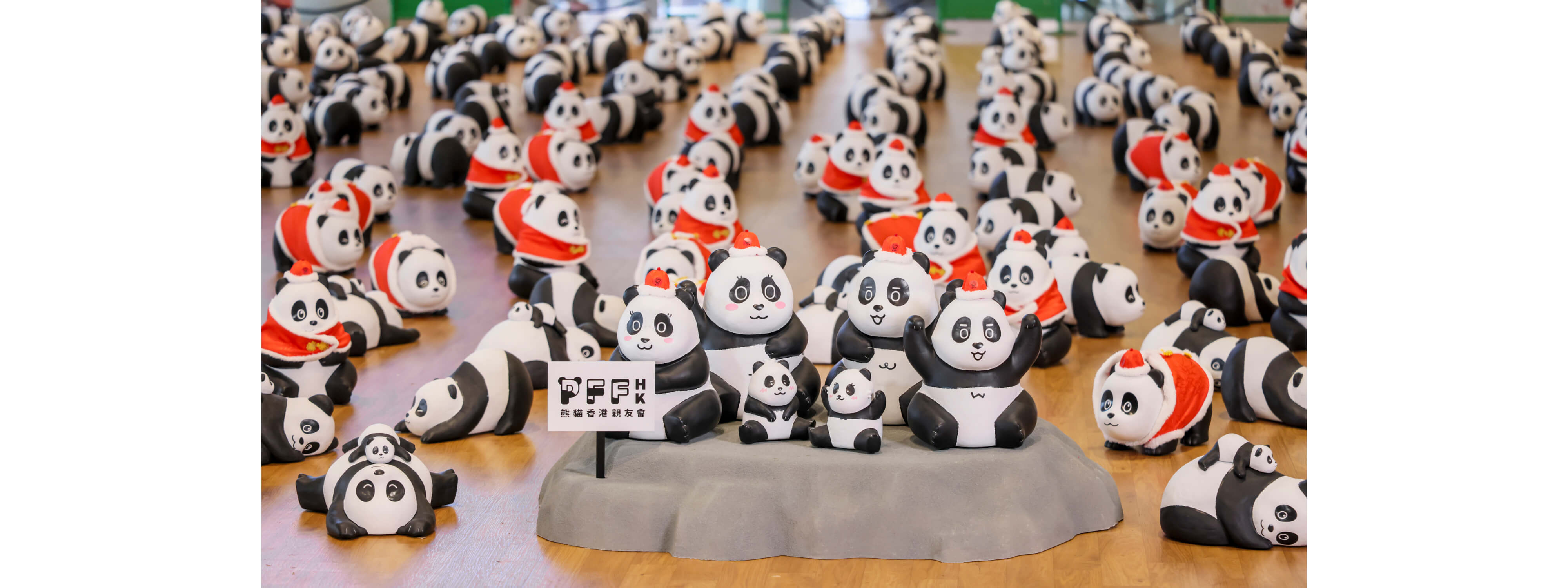 全港最大型新年熊猫展览《PANDA GO！ 香港游》新春站 @D‧PARK