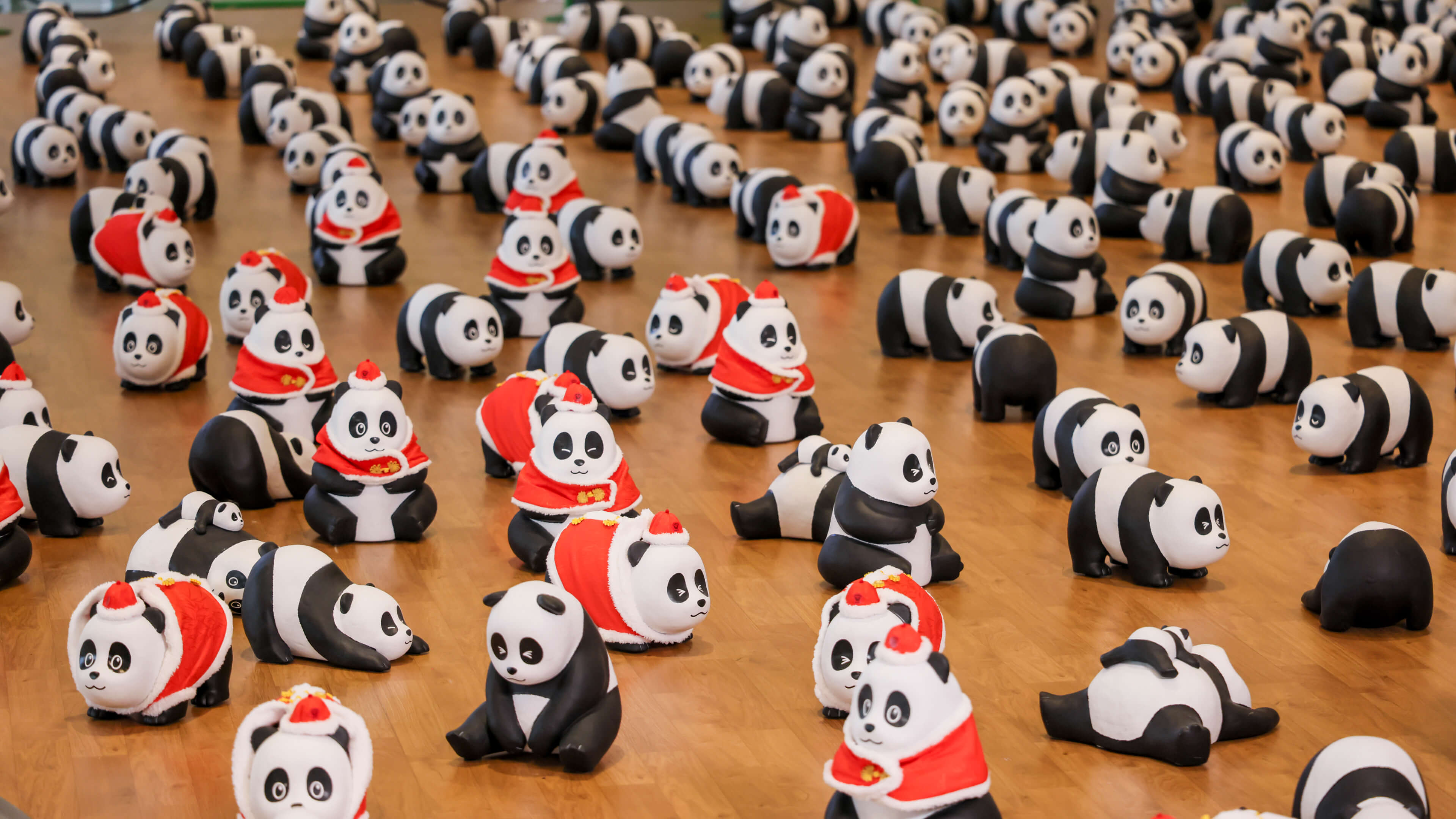 全港最大型新年熊猫展览《PANDA GO！ 香港游》新春站 @D‧PARK