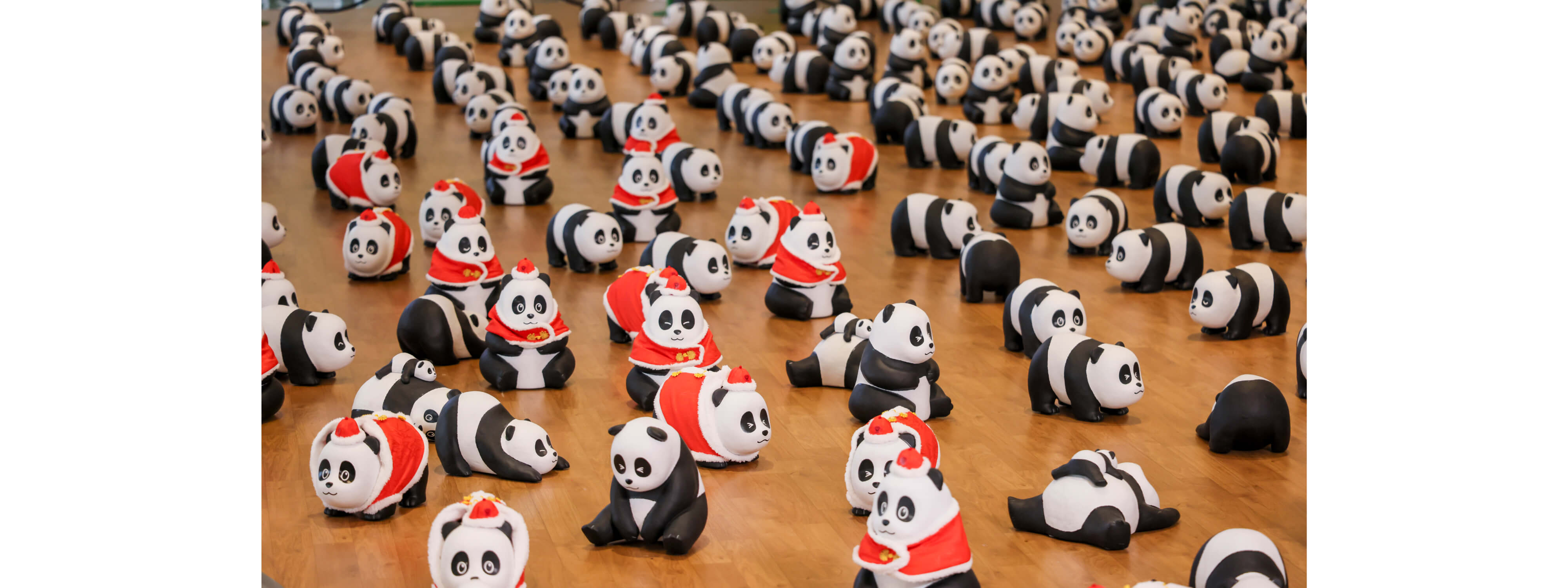全港最大型新年熊猫展览《PANDA GO！ 香港游》新春站 @D‧PARK