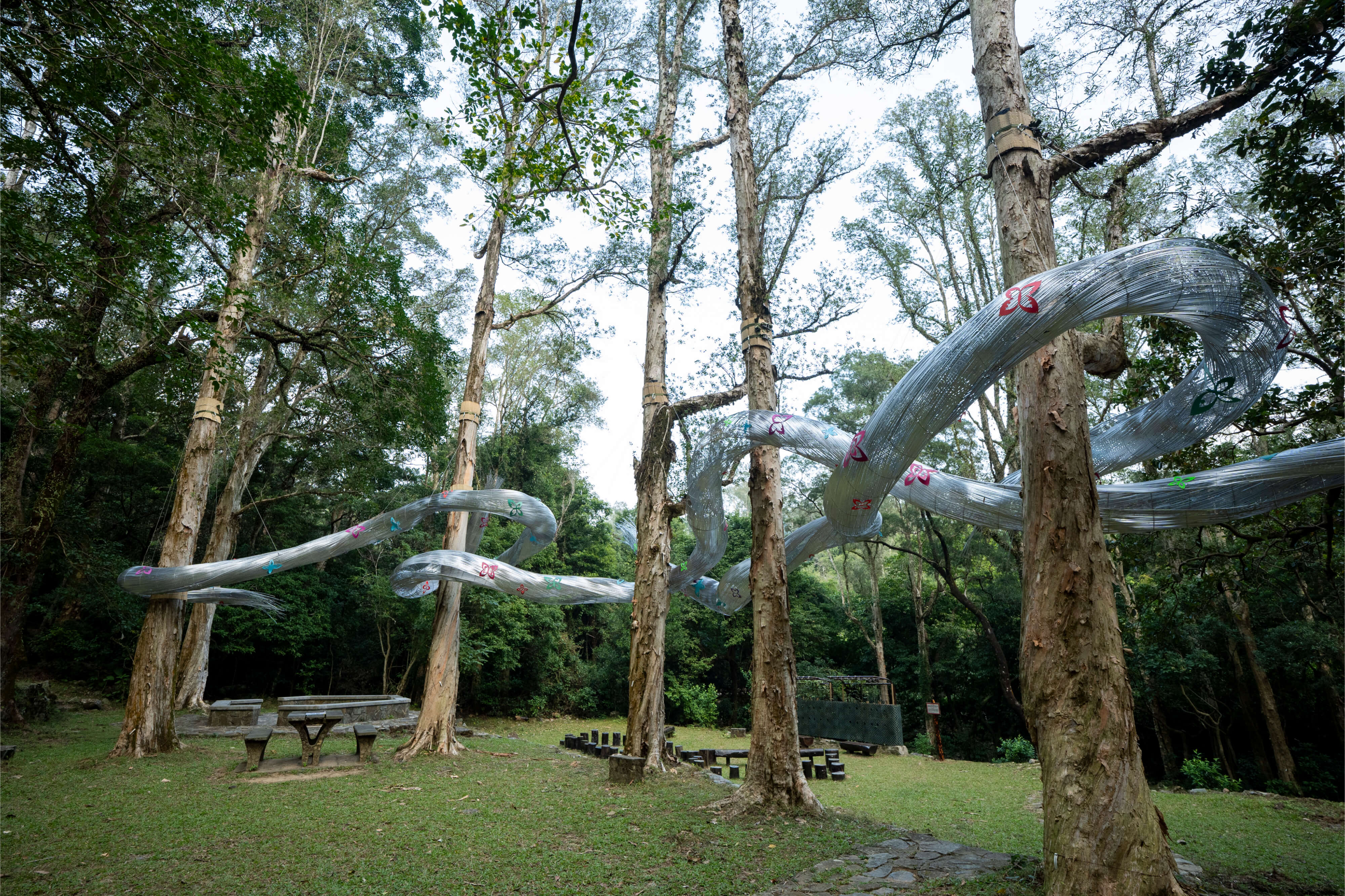 Flowing Natural